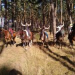 VFD BB Jugendcamp 2026